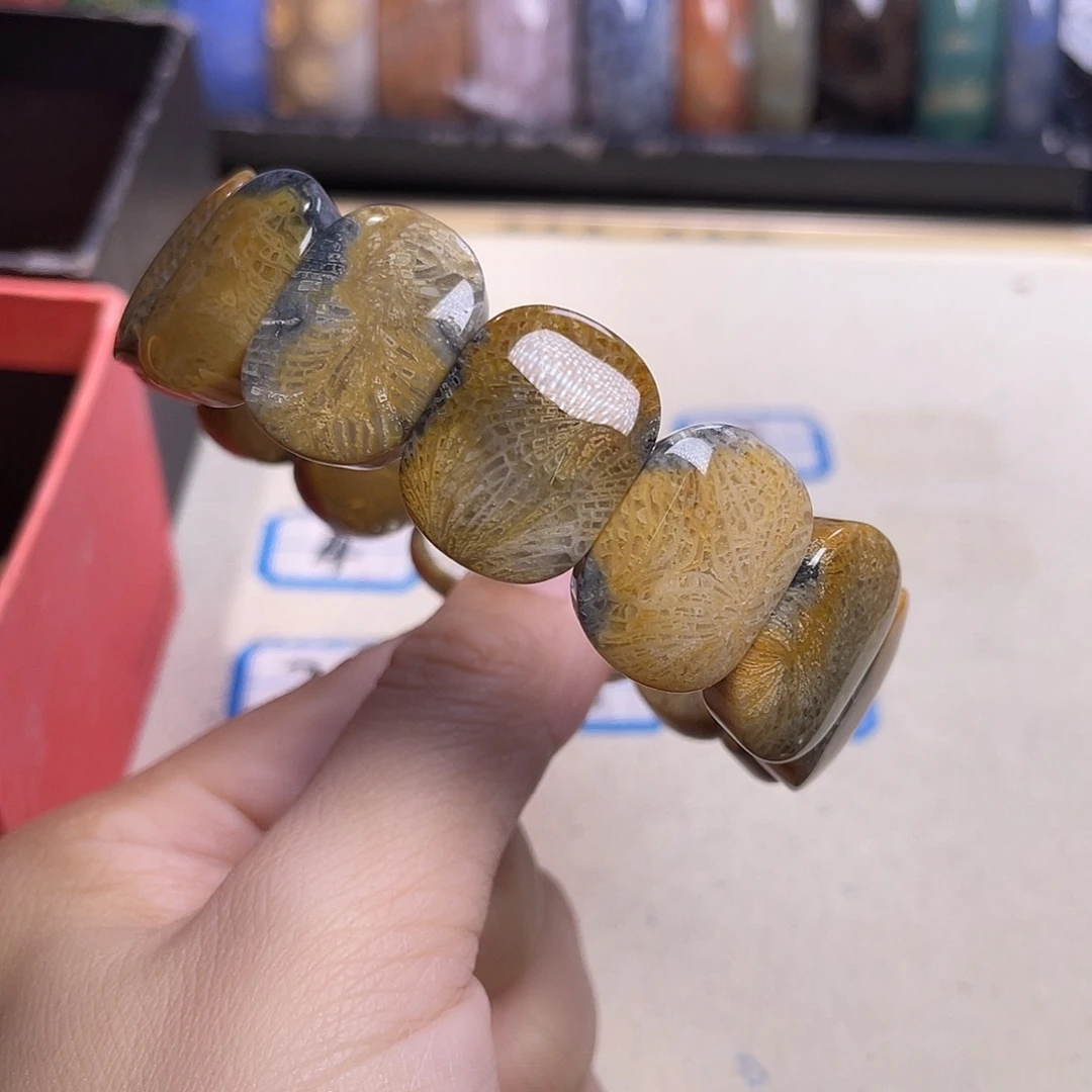 未镶嵌手镯硅化玉