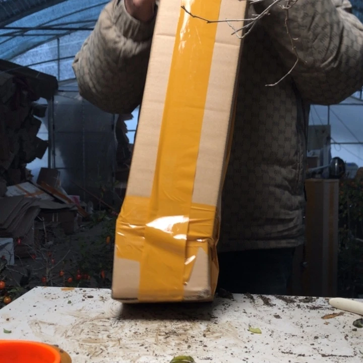 开***哥无花朵老鸭是一种