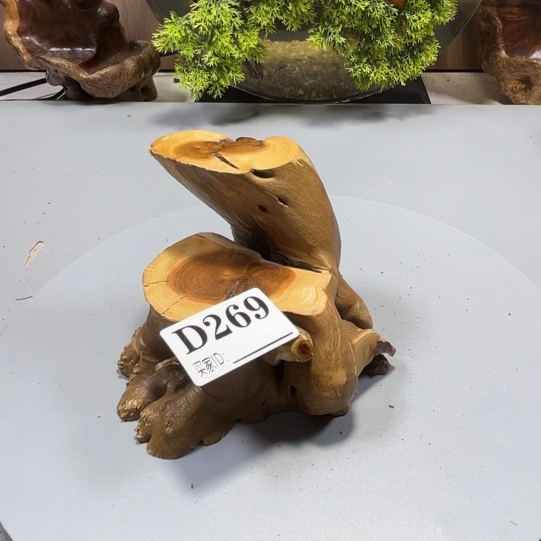 大果紫檀（缅甸花梨）辛***～