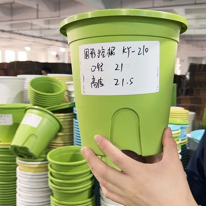 正品圆控口21高21果绿无托8只