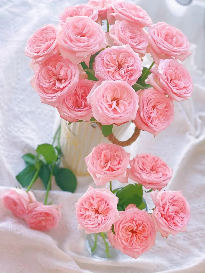 【现采现发】BC级单头粉荔枝玫瑰昆明基地直发-浪漫氛围感花束客厅