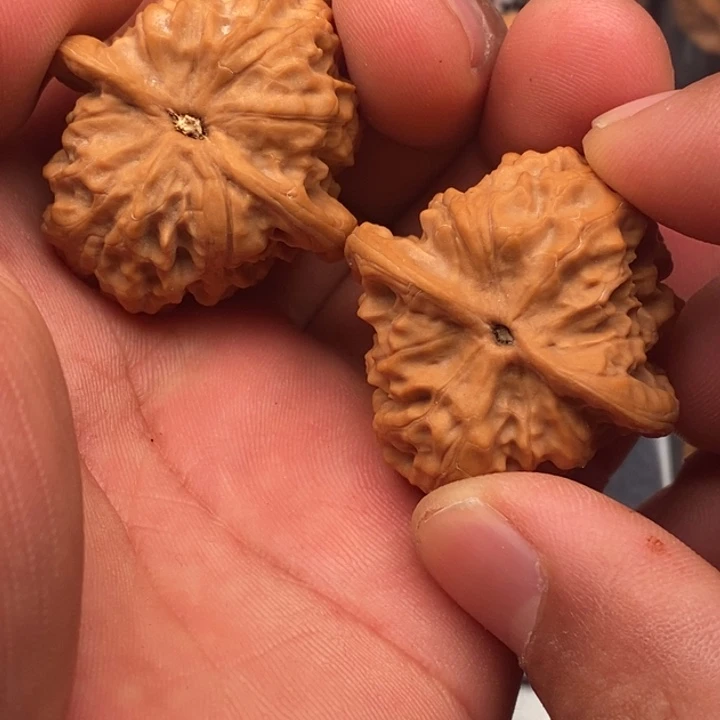 把件文玩核桃野狼37