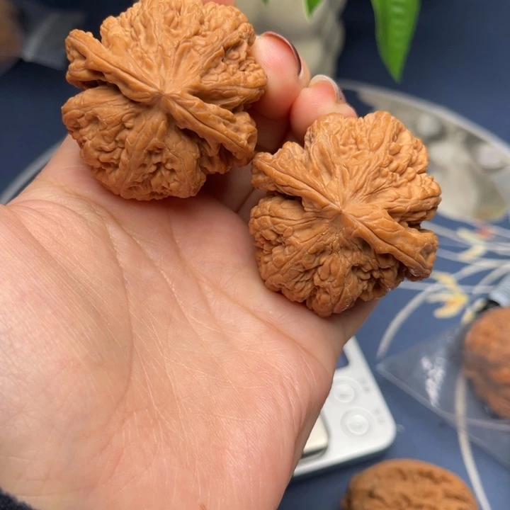 文玩核桃把件粗筋44