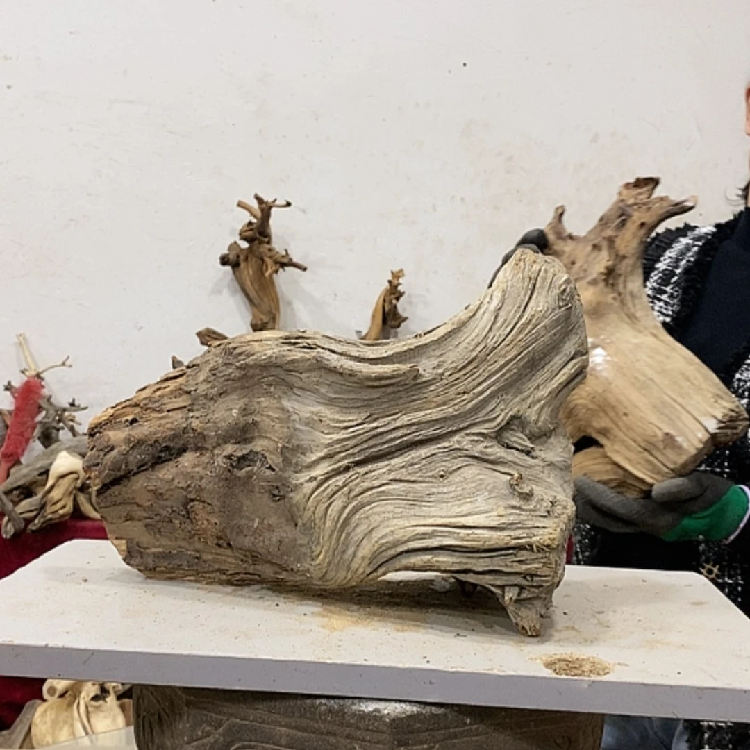 【闪购商品】柏木山****王我们都是好孩子