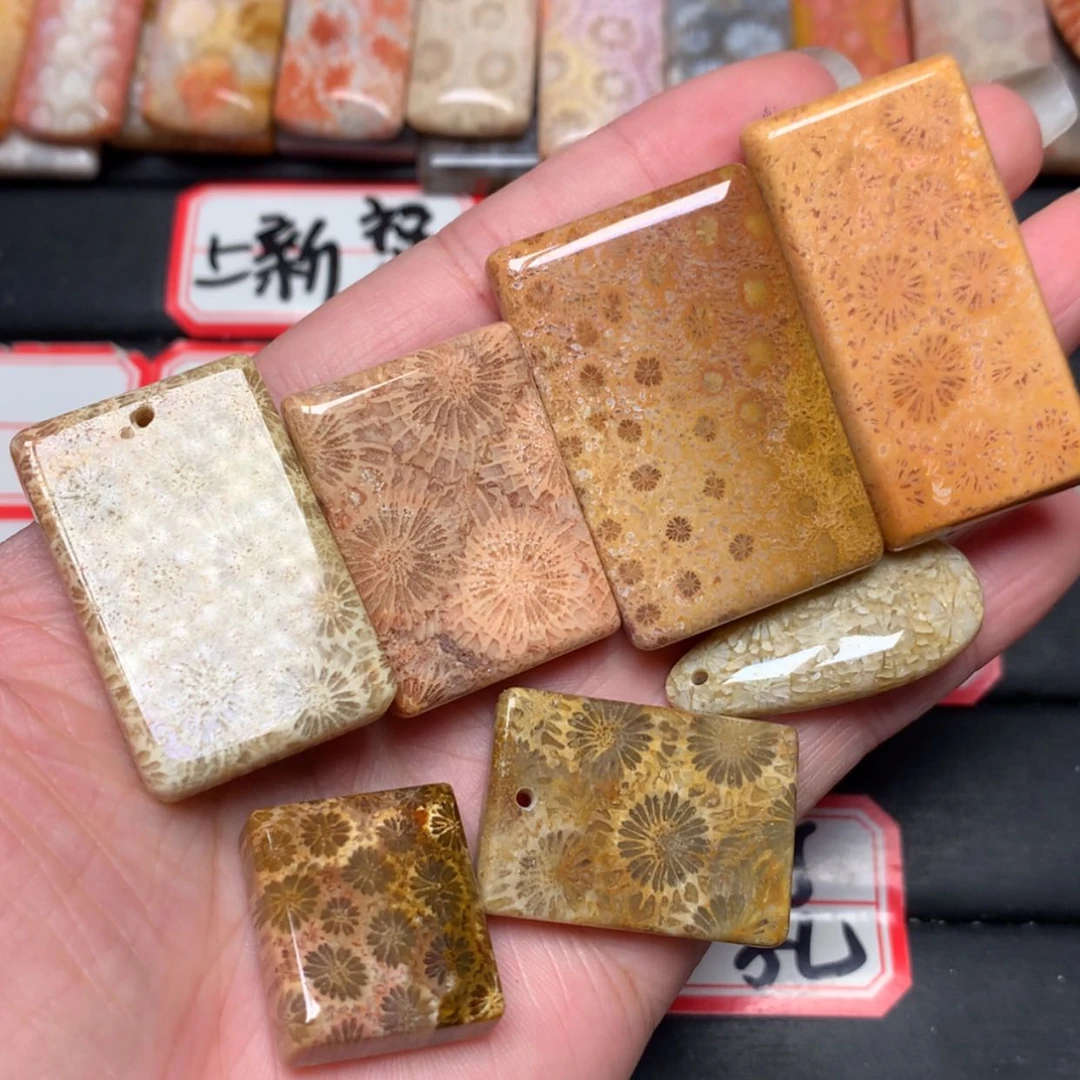 【闪购商品】未镶嵌颈饰硅化玉不*