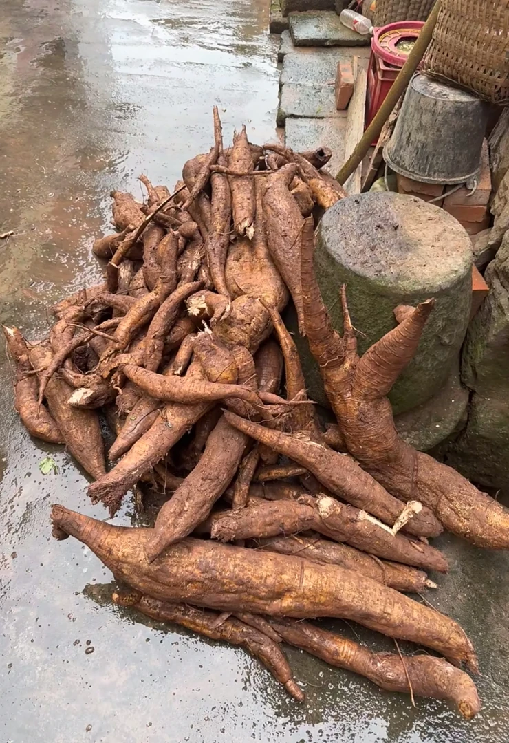 滇锦老徐专拍链接(土货)