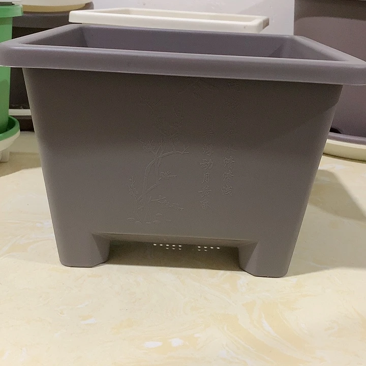 方球根口27咖色5个无托
