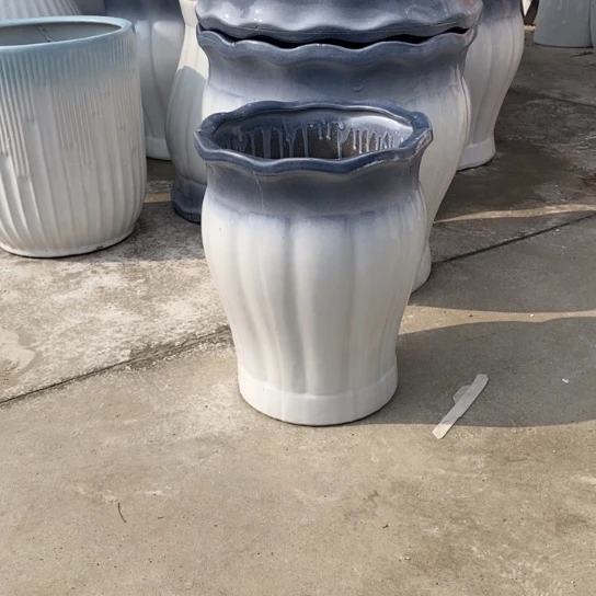 渐变灰南瓜中口25高32福利