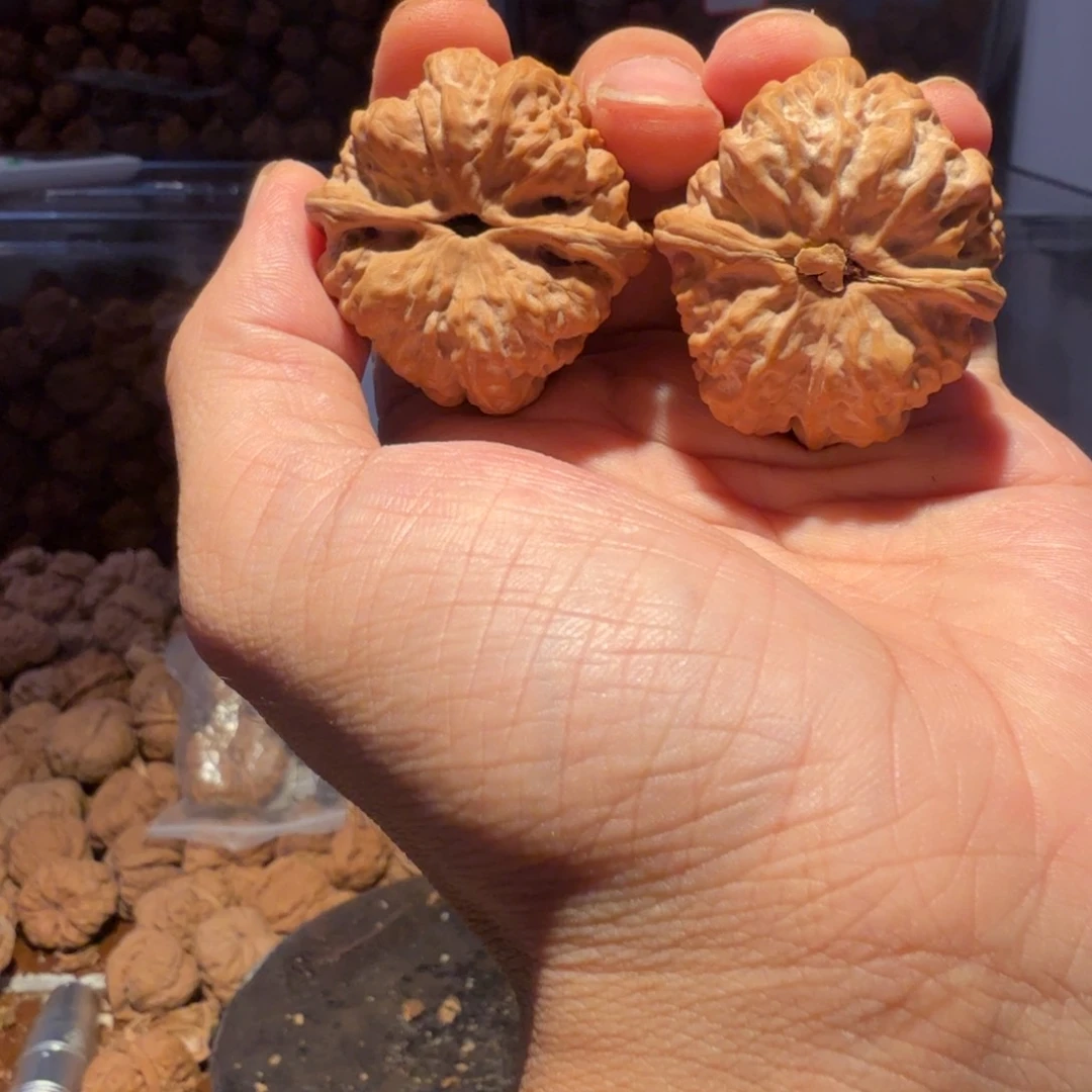 韦***嘉核桃手串/手链蛤蟆头蛤蟆先生的