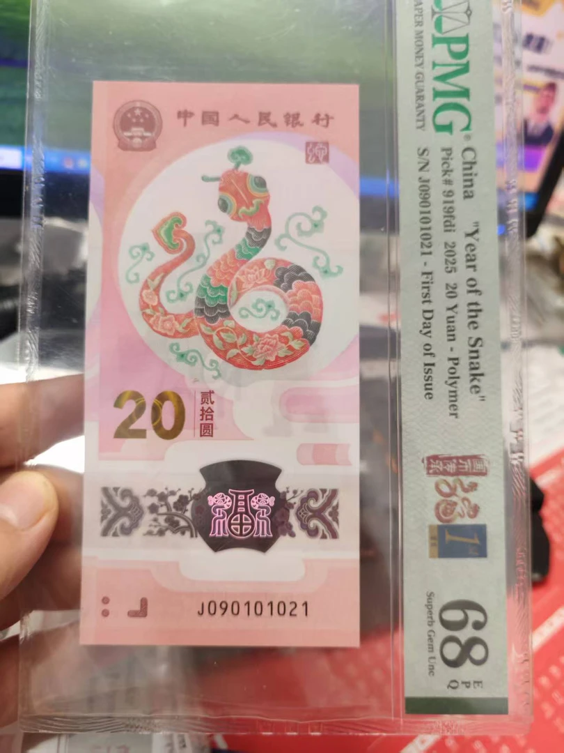 蛇钞首日标朦胧号090101021