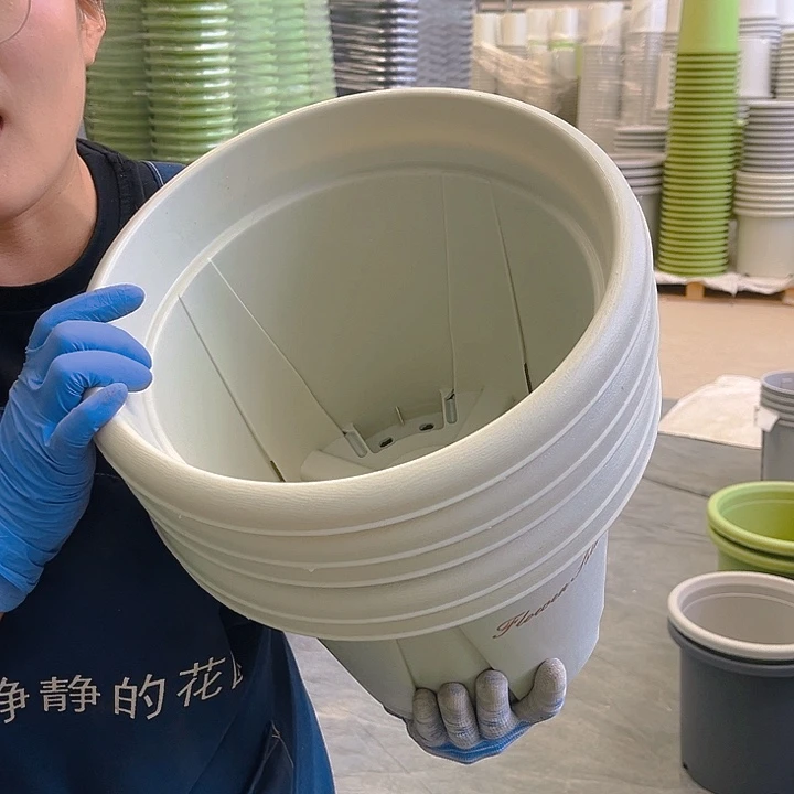 青山盆6#米白色5个无托