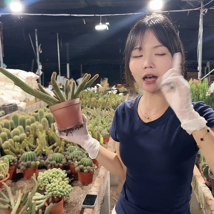 垂钓金妞（掉头掉崽不售后）