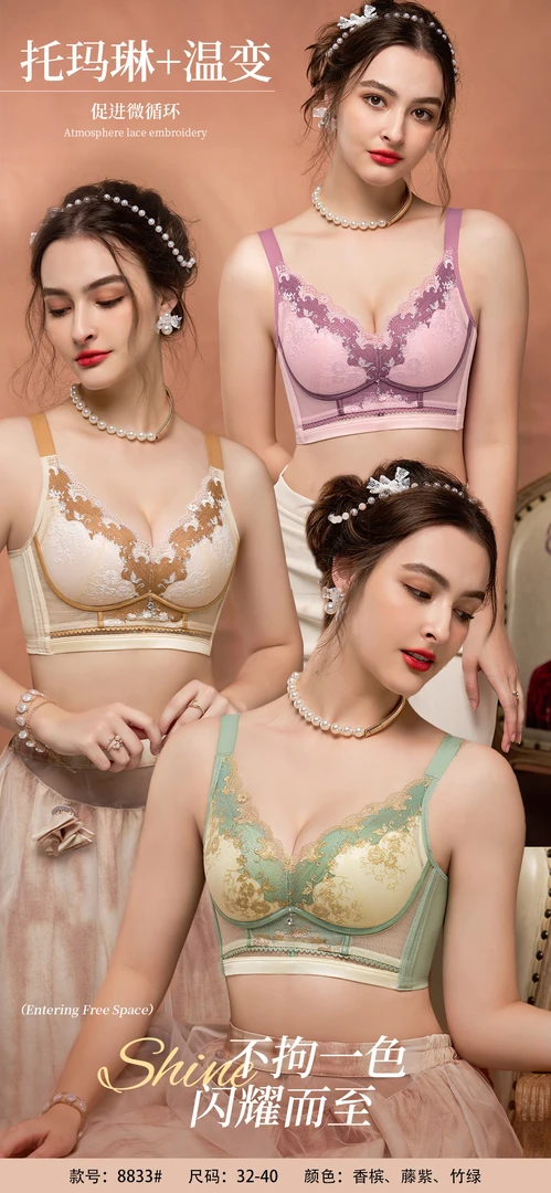 ②号E10【品牌高货调整型内衣】小胸聚拢显大收副乳托玛琳设计刺绣