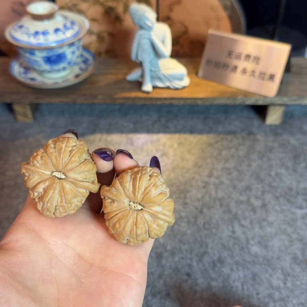 全品白茬45南瓜墩克重50