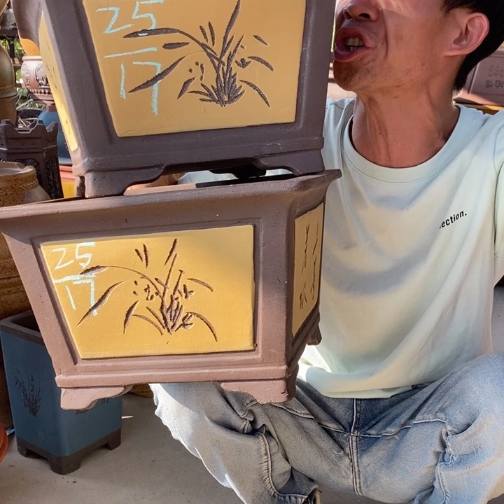 紫砂紫砂紫砂紫砂