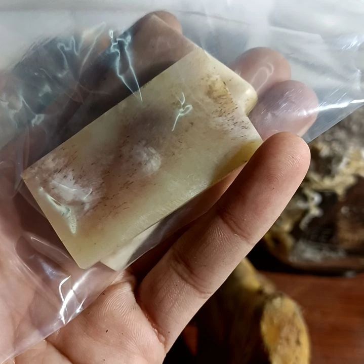 东***阳yyhu无事牌无事牌两块