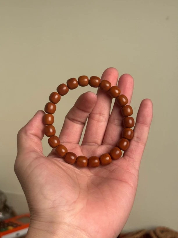 热振柏香籽专拍链接s哥拍