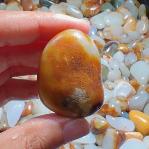 和田玉未镶嵌颈饰36克