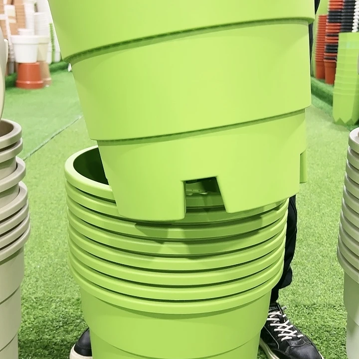 正品蓝莓盆口39高33果绿色3个无托