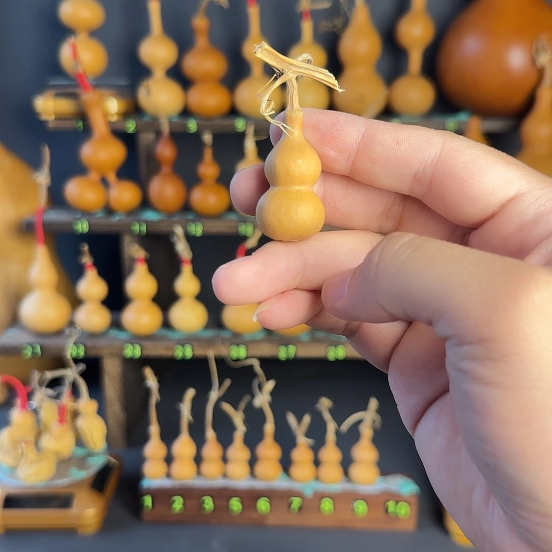 西***?葫芦葫芦葫芦葫芦葫芦葫芦葫芦葫芦葫芦