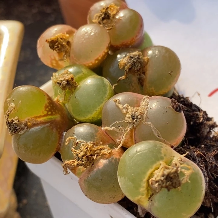 2051一组一组一组