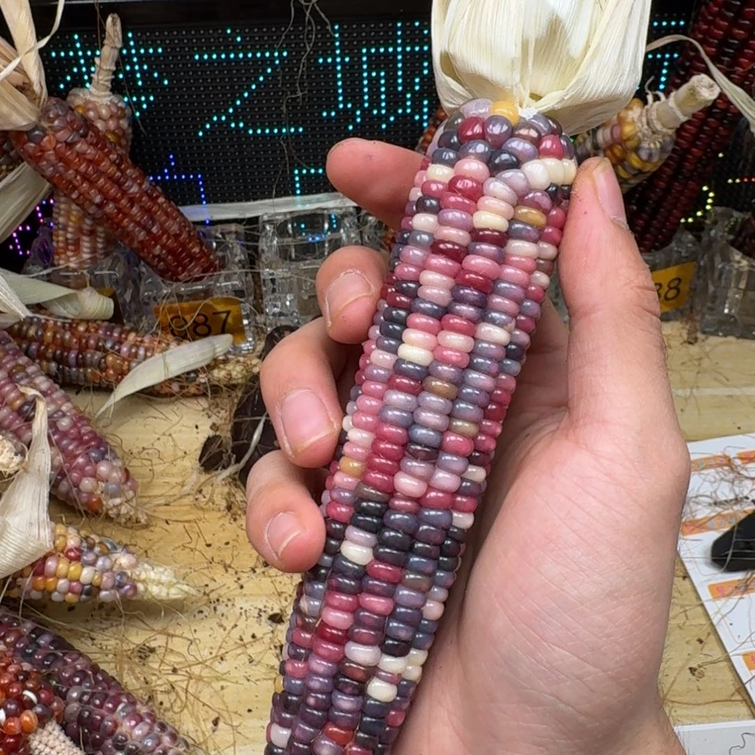 桃***呀柏香籽/百香籽吊坠