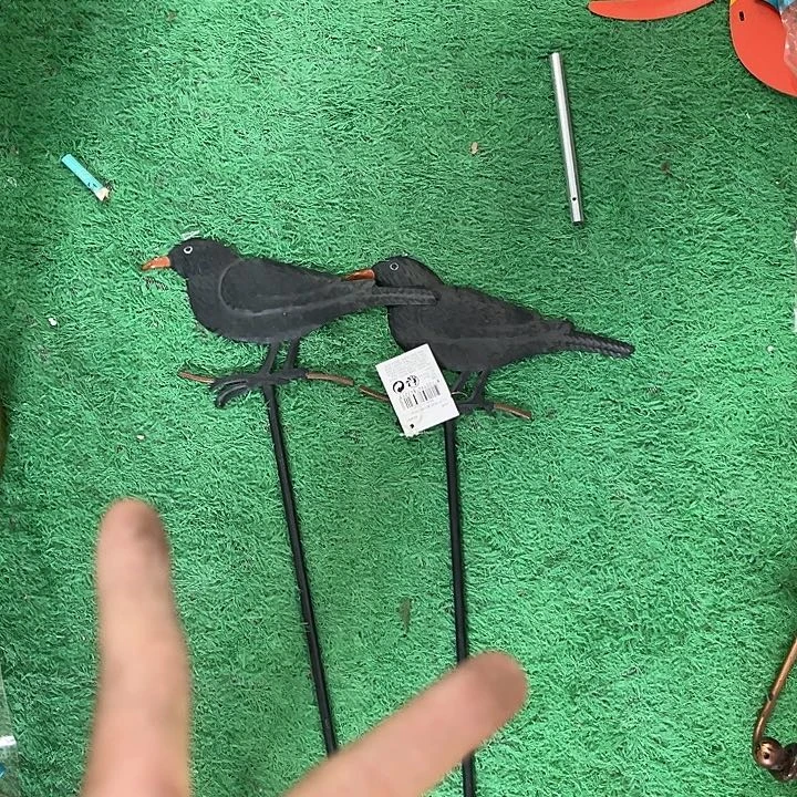 炸炸炸炸炸炸炸炸炸给力