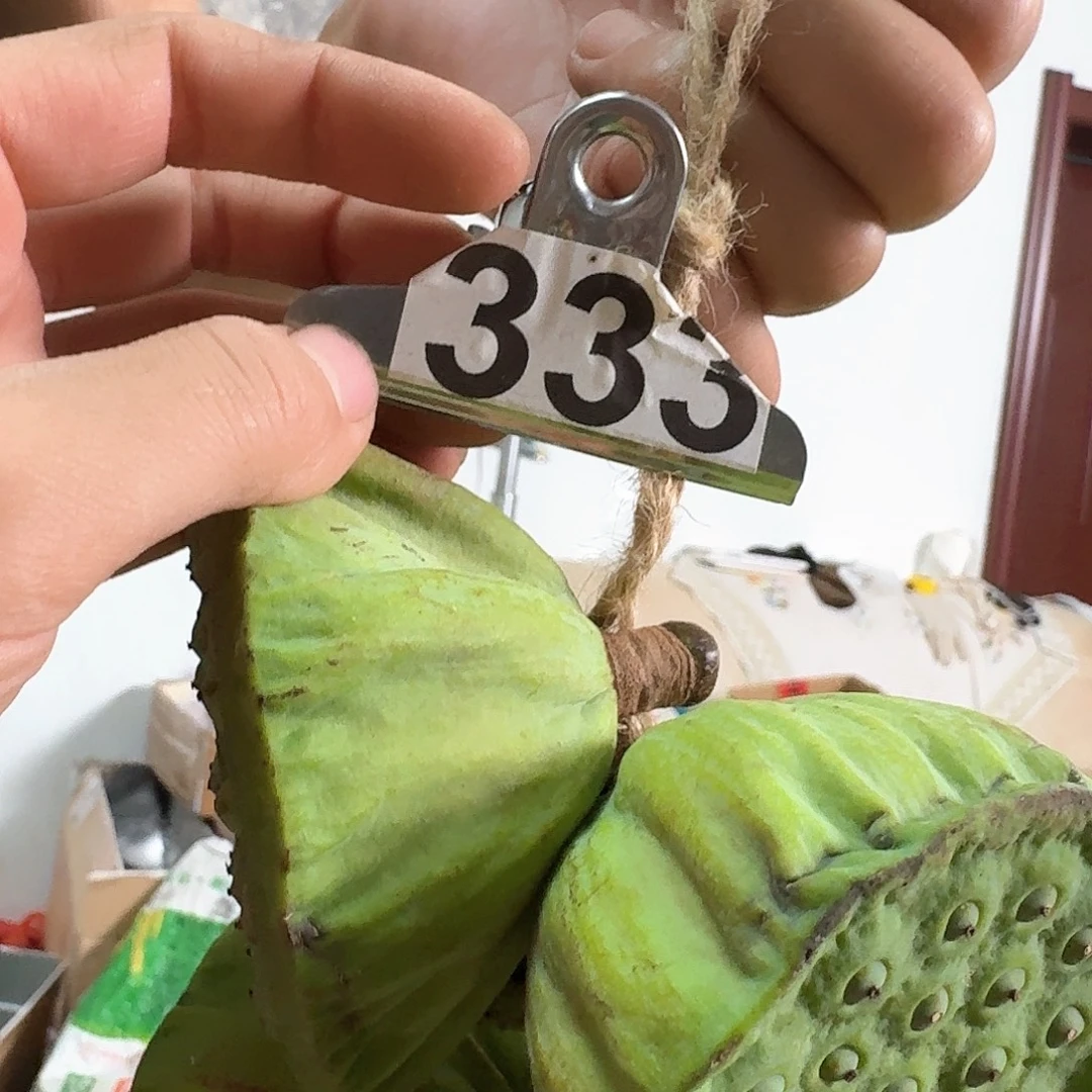 赵***想鲜莲蓬大的22个小的26个