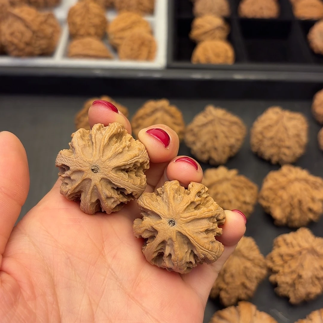 贺***核桃突突突突突突