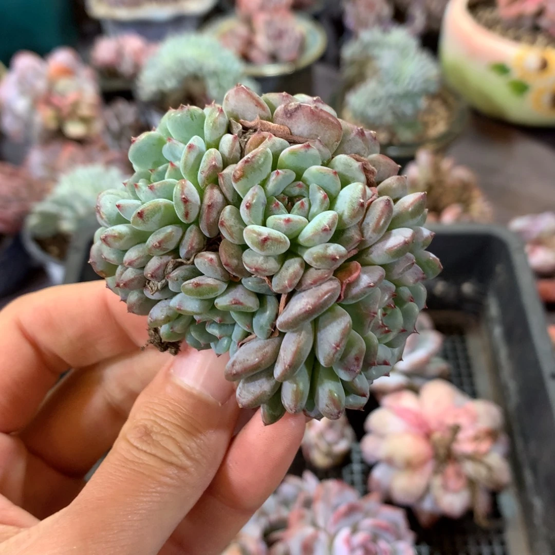 哈哈哈哈哈哈哈哈