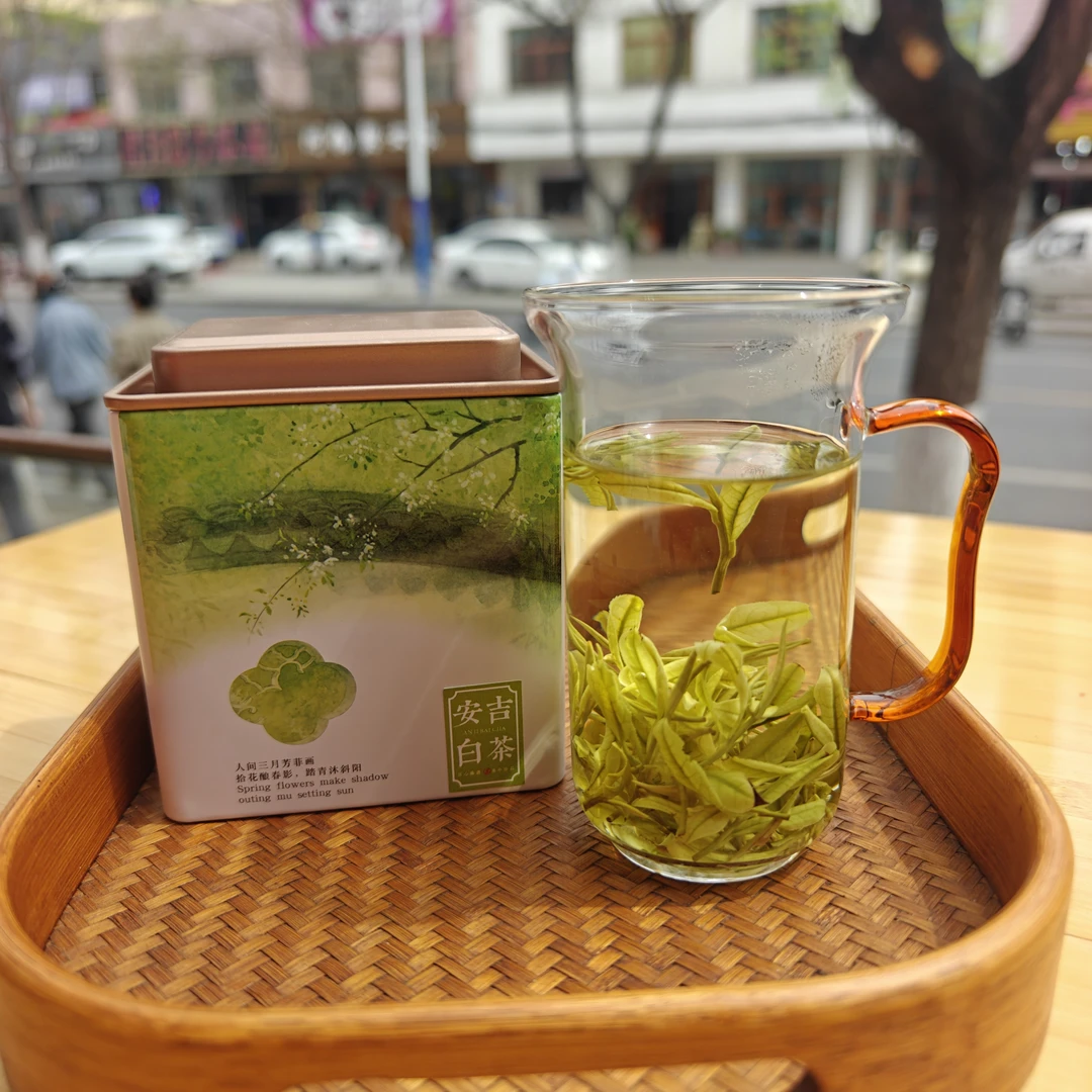 安吉白茶 绿茶 安吉 2025新茶