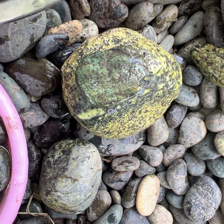 兰***涂蛇纹石玉未镶嵌西藏藏玉药王石