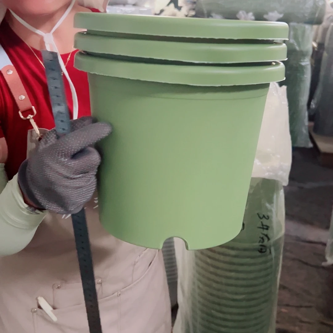 四季盆4#果绿色8个无托