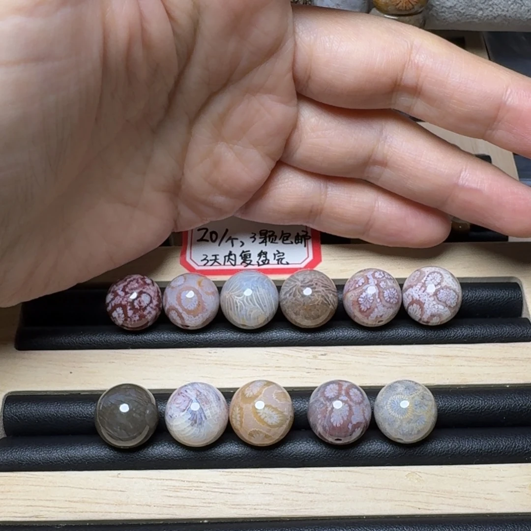 J***a未镶嵌14精，单20，11颗硅化玉