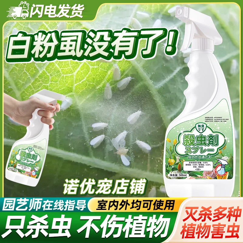 祛白粉虱杀虫剂家用祛除室内专用药治粉虱花药专杀喷雾灭专净杀除