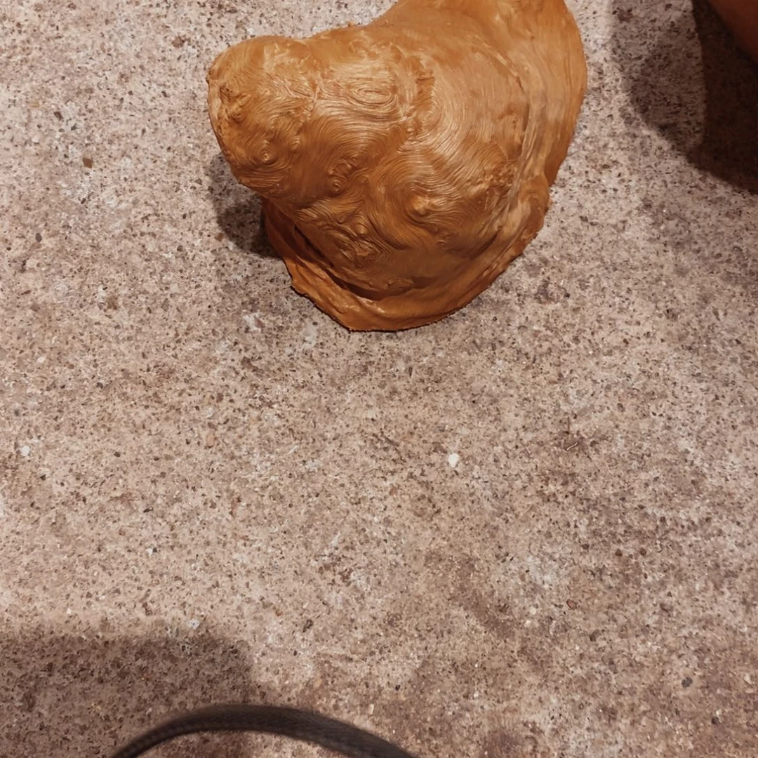 来***啦荔枝木随形木材一个