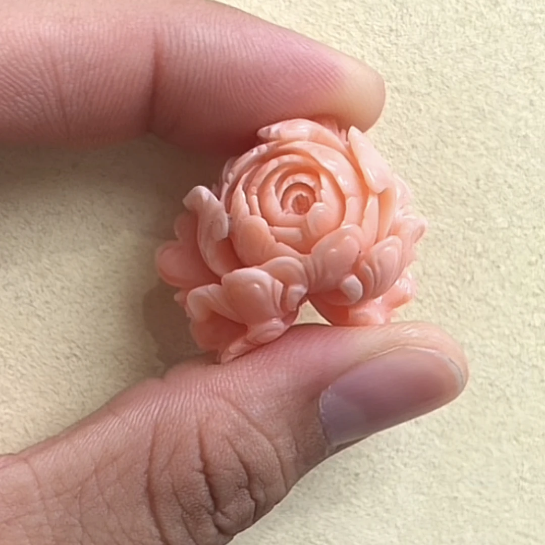 momo珊瑚牡丹花一个