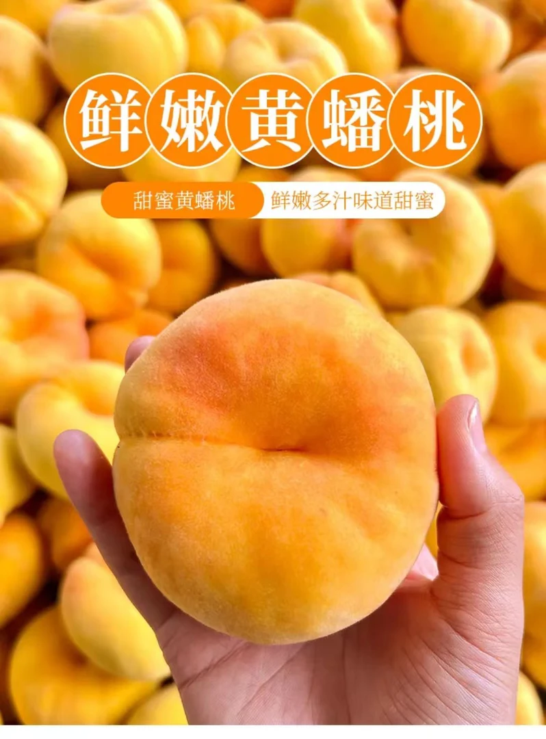 【沂蒙三姐】蒙阴蜜桃毛蟠桃皮薄甜嫩多汁产地直发当季新鲜水果