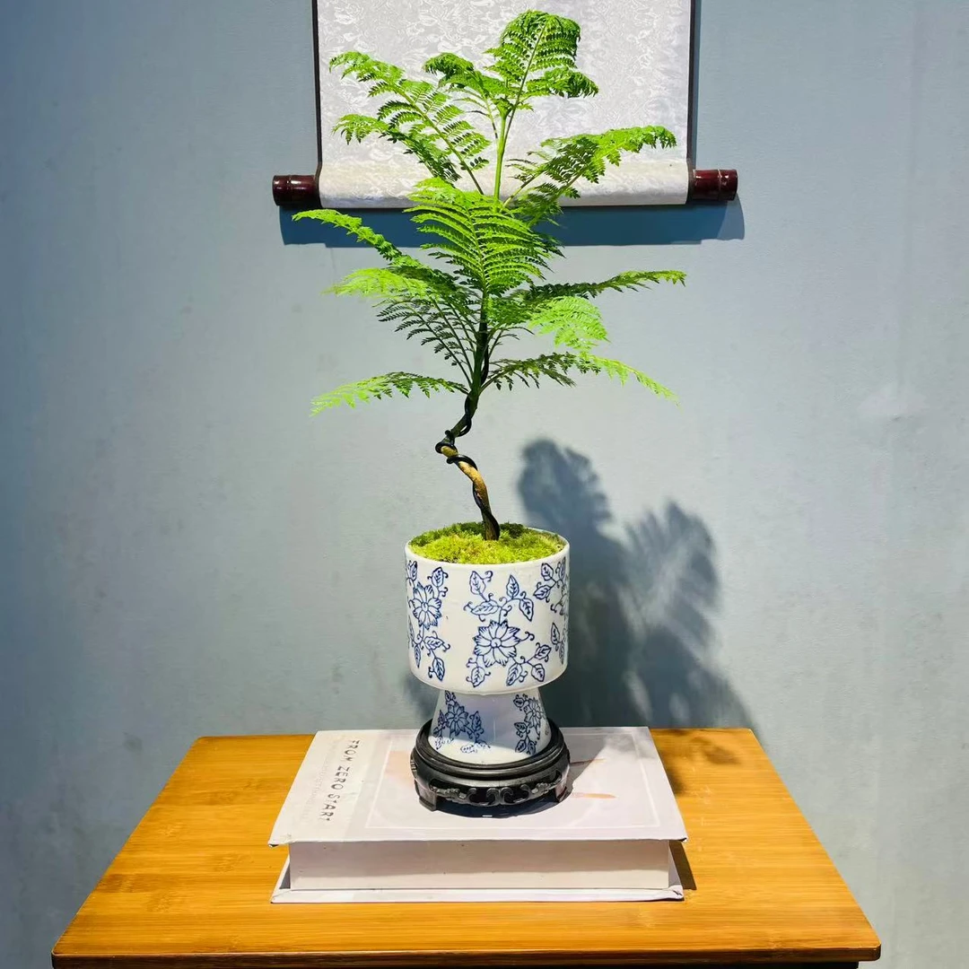 青花瓷高脚陶瓷蓝花楹