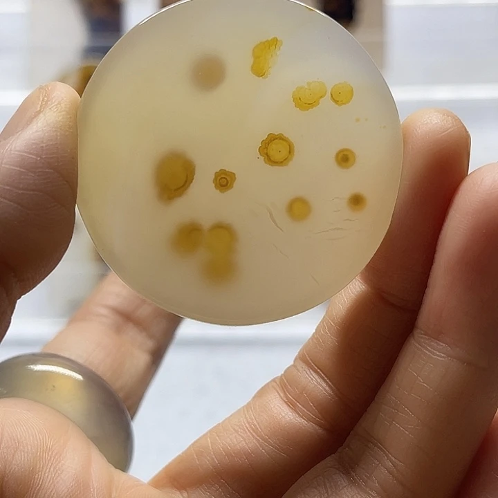 未镶嵌吊坠(不含链)玛瑙/玉髓