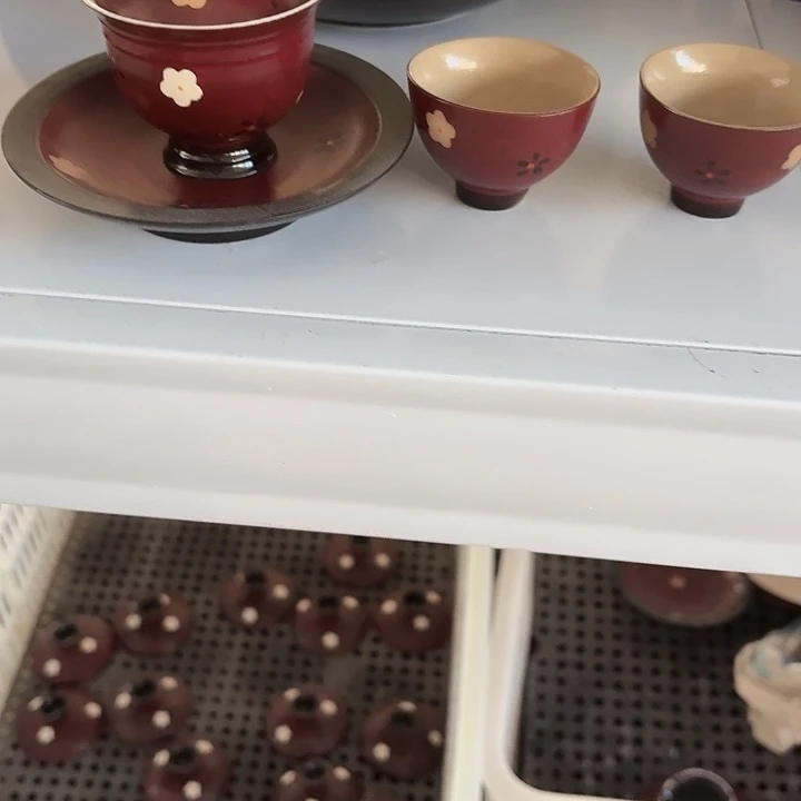 两次考察辛苦哭哭笑口常开哭哭了了