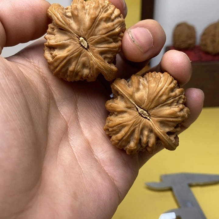 X***n文玩核桃把件修尖白狮子