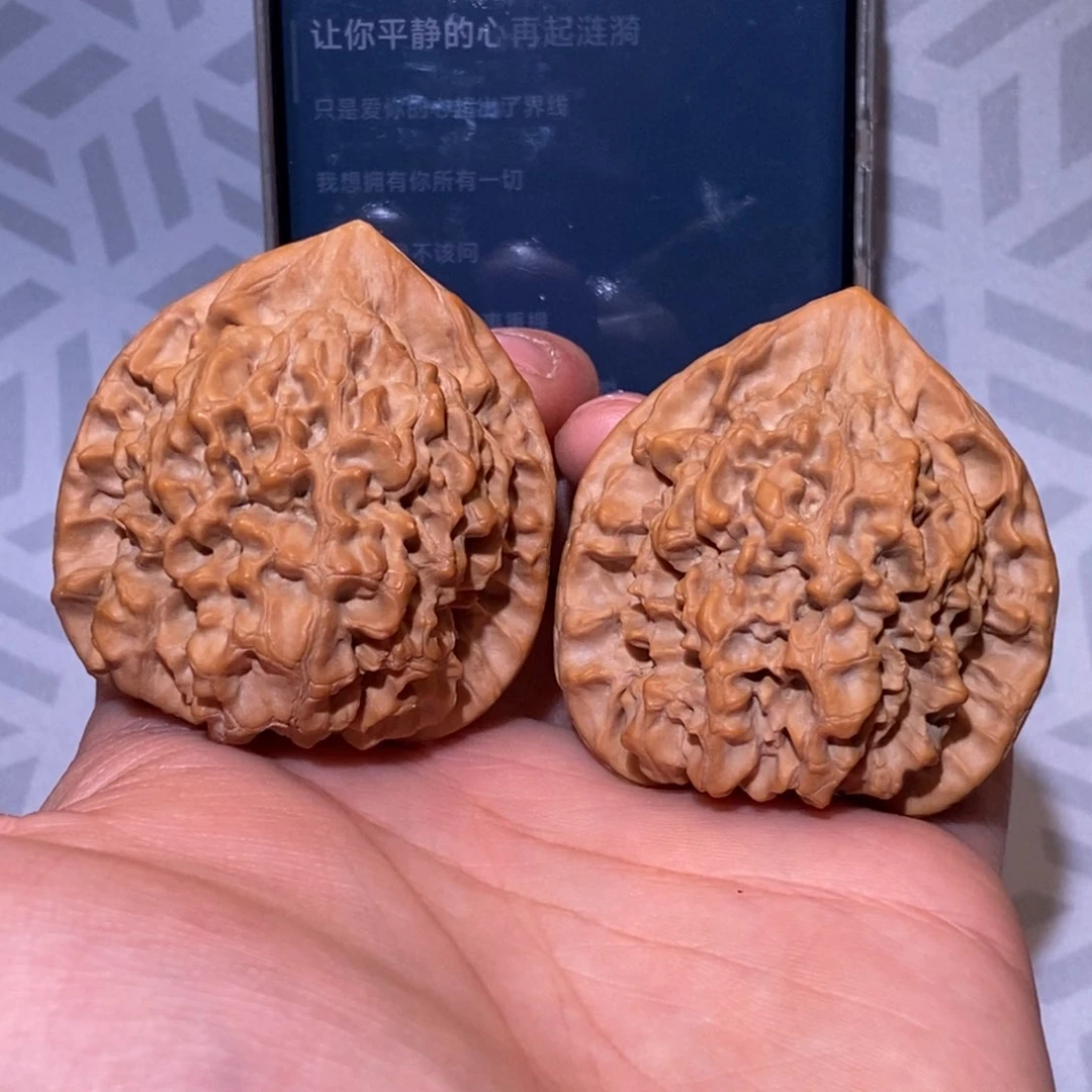48尺 微修 白茬 官帽 大尺寸