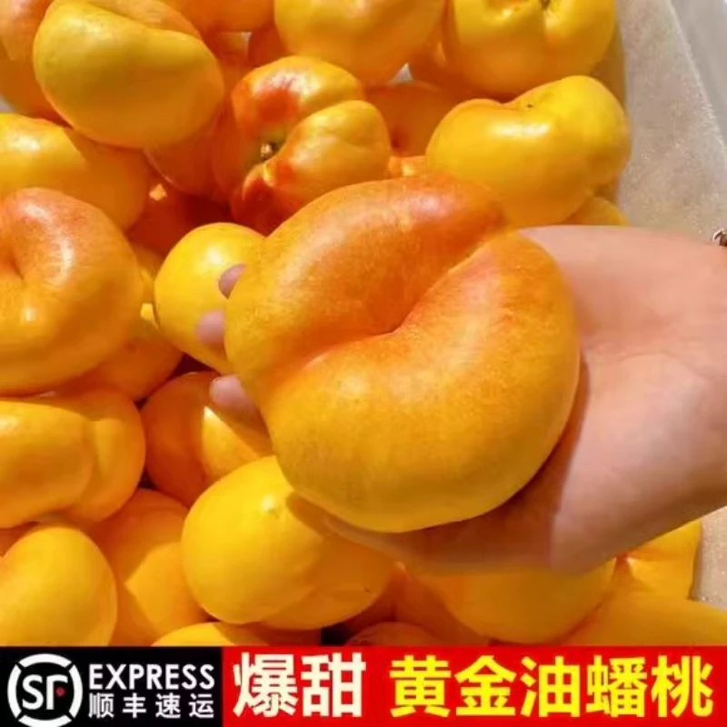 顺丰包邮现摘彩虹油蟠桃新鲜水果桃子当季孕妇蜜桃油桃山东大果甜