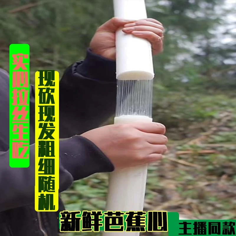 直播间拉丝芭蕉杆拉丝发货心生吃香蕉杆发货心网红吃播间拉丝水果