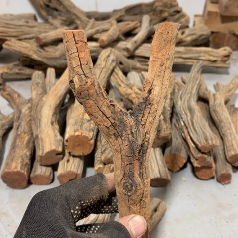 大果紫檀（缅甸花梨）本*日