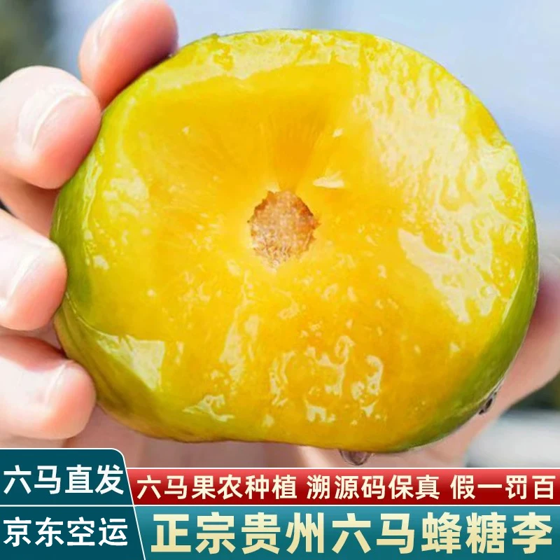 【十斤装】正宗六马蜂糖李包甜多汁现摘现发空运包邮当季水果