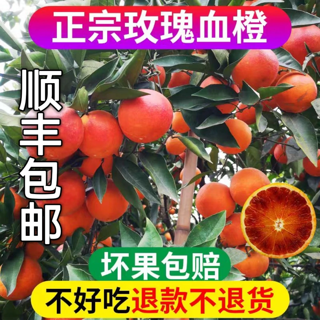 【顺丰送货上门今天拍明天到】长寿湖塔罗科血橙新鲜橙子礼品装9/20斤塔罗科血橙重庆市