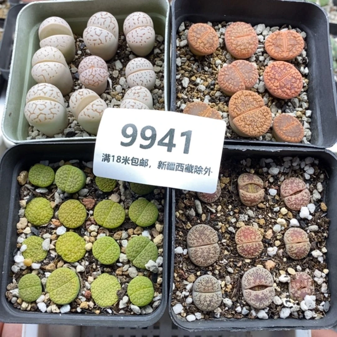 9941。