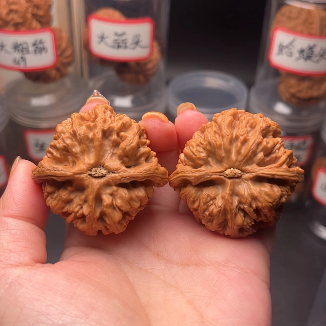 文玩核桃把件￴****✨大粗筋